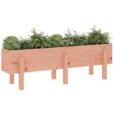 Vidaxl Vrtna visoka greda 121x30x38 cm trden les douglas