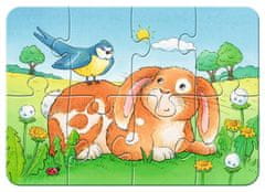 Ravensburger Moja prva sestavljanka Hišni ljubljenčki 4v1 (2,4,6,8 kosov)