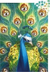 Libellud Puzzle Dixit Collection: 1000 kosov