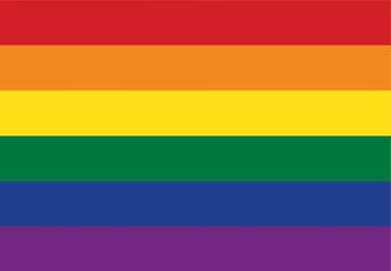 Grafika Puzzle Pride Edition 1000 kosov