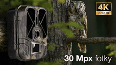 Evolveo StrongVision PRO WiFi, foto past/varnostna kamera