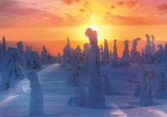 Trefl Puzzle Finska narava 1000 kosov