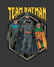 ZUTY Slikanje po številkah 40 x 50 cm Batman - ekipa