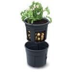 Prosperplast Sadilnik za krompir POTATO GROWER 39,2 cm antracit