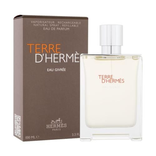 Hermès Terre d´Hermès Eau Givrée parfumska voda za moške