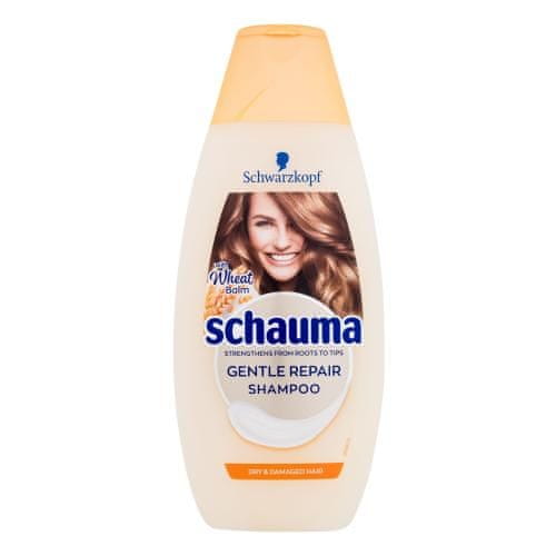 Schwarzkopf Schauma Gentle Repair Shampoo krepitven šampon za suhe in poškodovane lase za ženske