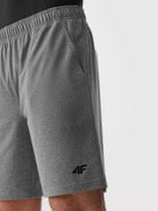 4F Moške kratke športne hlače Pellikin siva M