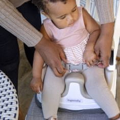 Ingenuity 2v1 Baby Base Cashmere Chair Seat 6m+ do 22 kg