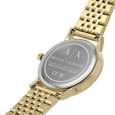 NEXTIME Ribnik 3312