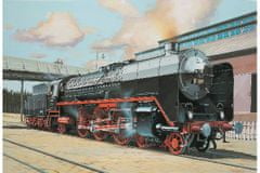 Revell maketa-miniatura Express locomotive BR01 with tender 2'2' T32 • maketa-miniatura 1:87 vlaki • Level 4