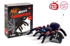 Wiky Strašljiva tarantula RC