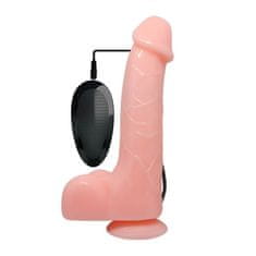 Baile VIBRACIJSKI PENIS Baile Barbara 22 cm 