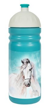 Steklenica R&amp;B Bělouš 700ml