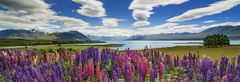 Heye Panoramska sestavljanka Jezero Tekapo, Nova Zelandija 1000 kosov