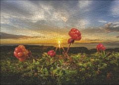 Heye Puzzle Blackberry mulberry 1000 kosov