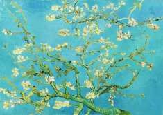 ENJOY Puzzle Vincent Van Gogh: Mandljevo drevo 1000 kosov