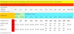 Widmann Pustni Kostum Morske Deklice, 110
