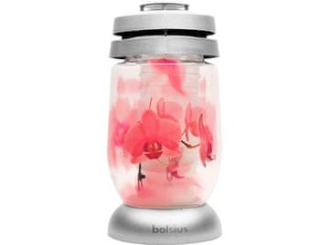 Bolsius pokopališki kozarec 23 cm depozit 120g 36h. Orhideja