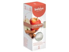 Aromatic 2.0 Difuzor Apple Cinnamon 45ml + dišeče slamice