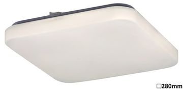 Rabalux Stropna svetilka Rabalux 2286 LED Stropna svetilka ROB 1xLED/20W/230V