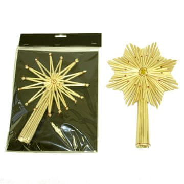 Denis Zvezdasta borova konica