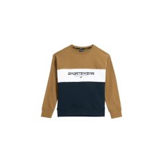 4F Pulover s kapuco JAW23TSWSM63074S