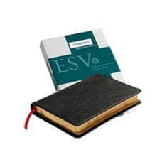 ESV Pitt Minion Reference Bible, Black Goatskin Leather, Red-letter Text, ES446:XR