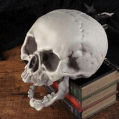 Korbi Halloween Dekor Škof Čelado 21cm Siva