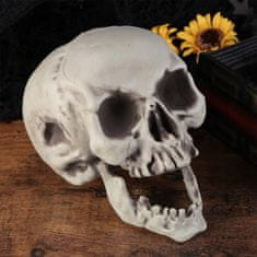 Korbi Halloween Dekor Škof Čelado 21cm Siva