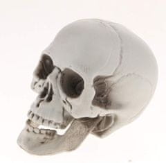Korbi Siv Plastični Lobanja Dekoracija Halloween 20cm