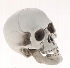 Korbi Siv Plastični Lobanja Dekoracija Halloween 20cm