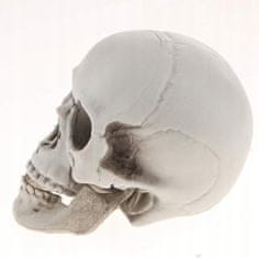 Korbi Siv Plastični Lobanja Dekoracija Halloween 20cm