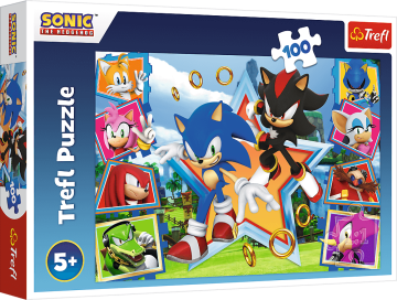 Trefl Puzzle Sonic: Meet the Hedgehog 100 kosov