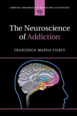Neuroscience of Addiction