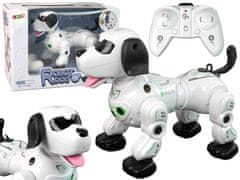 shumee Daljinsko voden interaktivni robotski pes