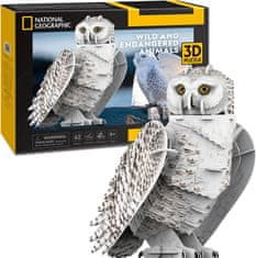 CubicFun 3D sestavljanka National Geographic: snežna sova 62 kosov
