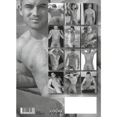 Orion Koledar Pin-up koledar HC Real Cocks 2026