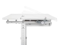 XD nastavljiva otroška pisalna miza SPE-X102W 100x60 cm