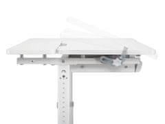 shumee XD nastavljiva otroška pisalna miza SPE-X102W 100x60 cm