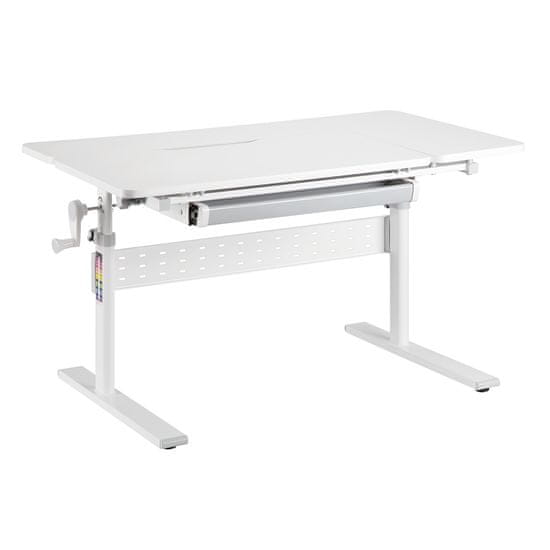shumee XD nastavljiva otroška pisalna miza SPE-X102W 100x60 cm