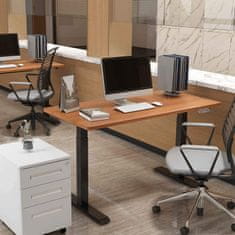 Greatstore Električno namizno stojalo SPE-214RB