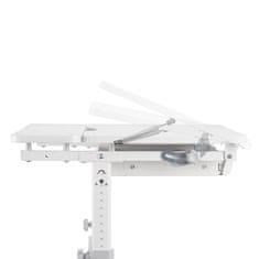 Greatstore XD nastavljiva otroška pisalna miza SPE-X102W 80x60 cm
