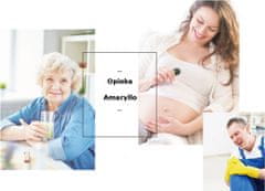 shumee AMARYLLO iCare FHD kamera