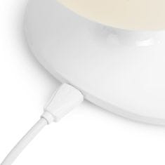 Greatstore Namizna svetilka z induktivnim polnjenjem USB-C SR301