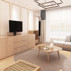 shumee Električni TV stojalo SPE-T11 cabinet