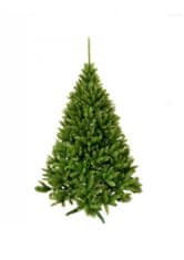 Gimme Five Božično drevo kavkaška smreka zelena 220 cm