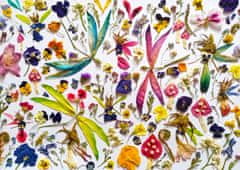 ENJOY Puzzle Vile in kačji pastirji 1000 kosov