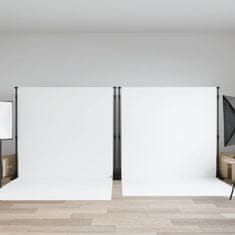 Vidaxl Stojalo za ozadje 2 kosa črno 305x243 cm jeklo