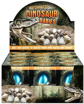 Rastoča jajca Dinosaurus 1 kos