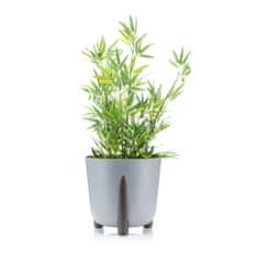 shumee Cvetlični lonec Moss siv 26xh25 cm